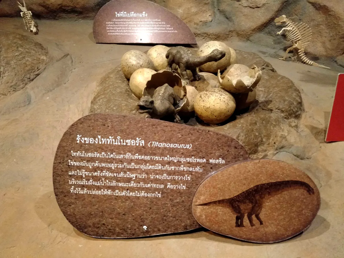 Dinosaur nest model at the Bangkok Children's Discovery Museum